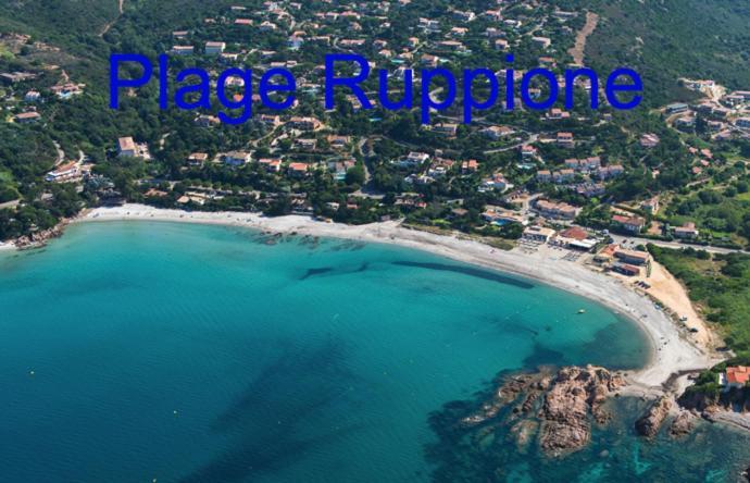 Vue Mer Panoramique Plage 50M Porticcio Corse Екстериор снимка