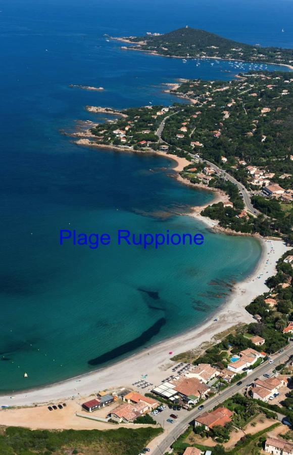 Vue Mer Panoramique Plage 50M Porticcio Corse Екстериор снимка